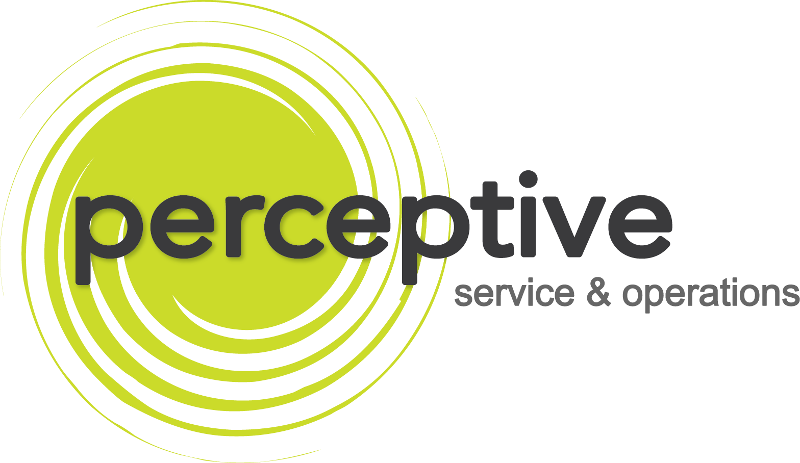 Perceptive Services - ROC Electric commercial client